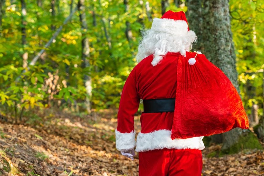 Samichlaus mit Sack im Wald