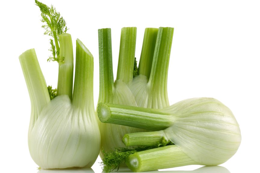 Fenchel