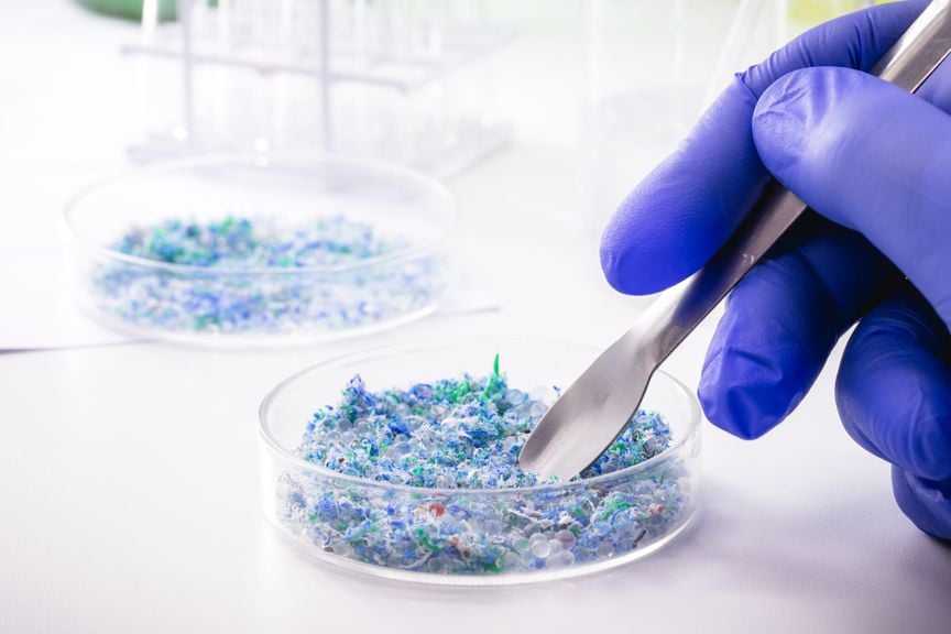 Mikroplastik in Petrischalen wird im Labor untersucht