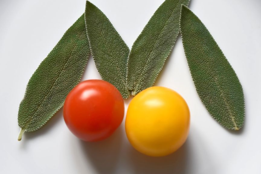 Tomaten und Salbei