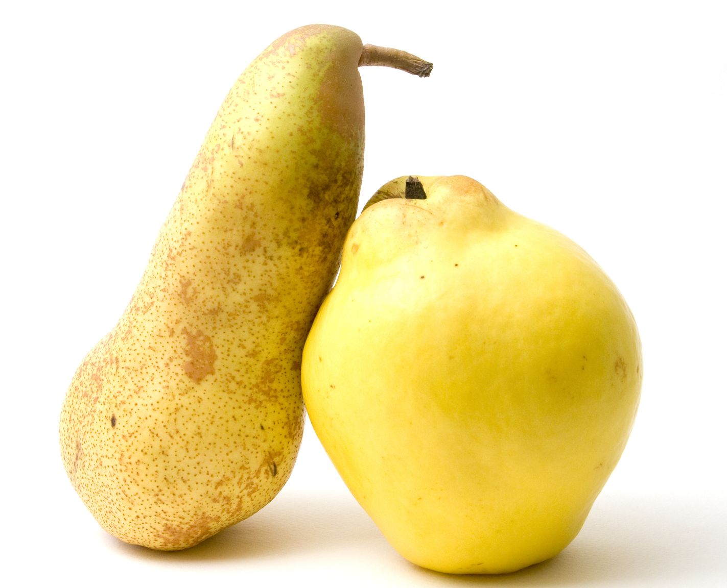 Quitten-Birnen-Brei mit Vanille