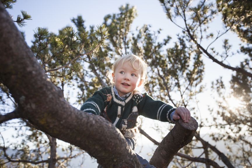 Kind klettert auf den Baum