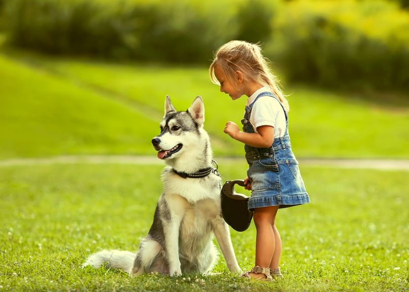 Mädchen mit Husky Hund auf der Wiese