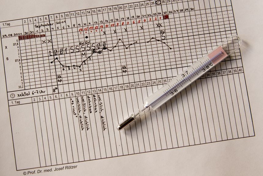 Thermometer mit Fruchtbarkeitskurve