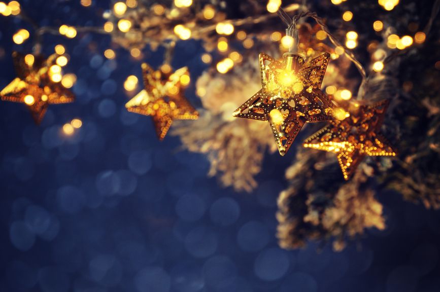 Sternengirlande an einem Tannenbaum vor dunkelblauem Hintergrund