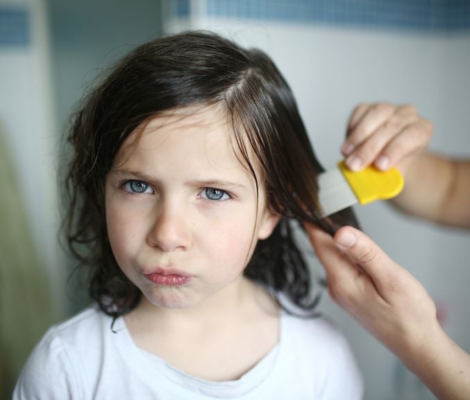 Mädchen werden wegen Läusen die Haare gekämmt