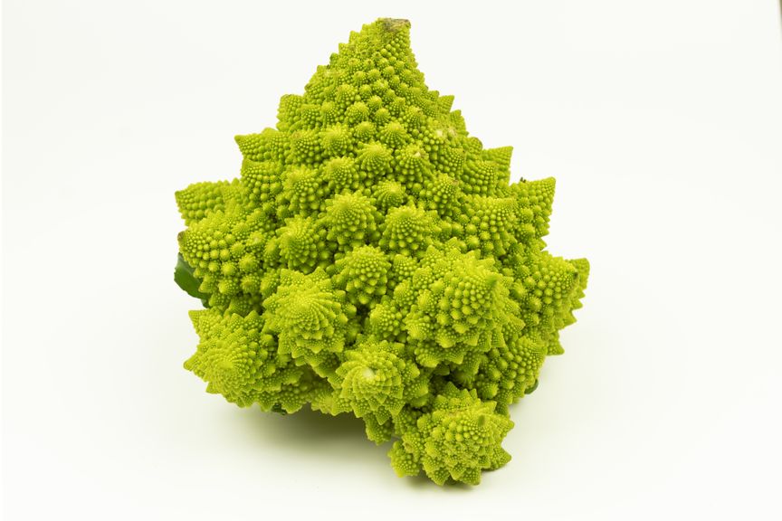 Ganzer Romanesco vor weissem Hintergrund