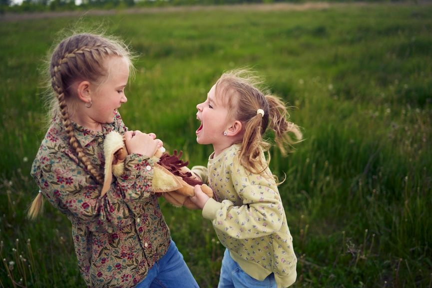 Zwei Kinder stehen auf einer Wiese und streiten sich um einen Plüschhasen
