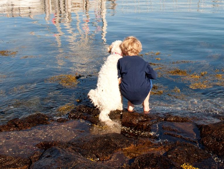 Kind und Hund am Ufer