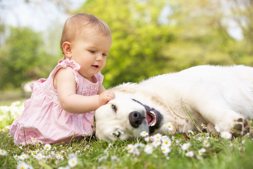 Baby streichelt Hund auf der Wiese,Kind sitzt sitz im Garten mit Hund