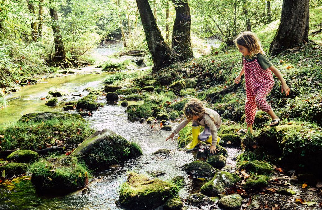Spielen im Wald | Bewegung in der freien Natur | swissmom