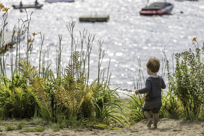 Kleiner Junge läuft zum See