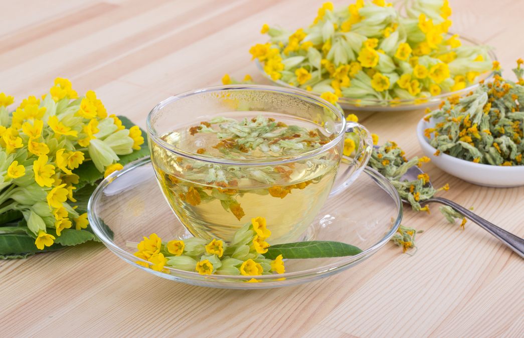 Hustentee mit Schlüsselblumen | Hausmittel | Kräutertees