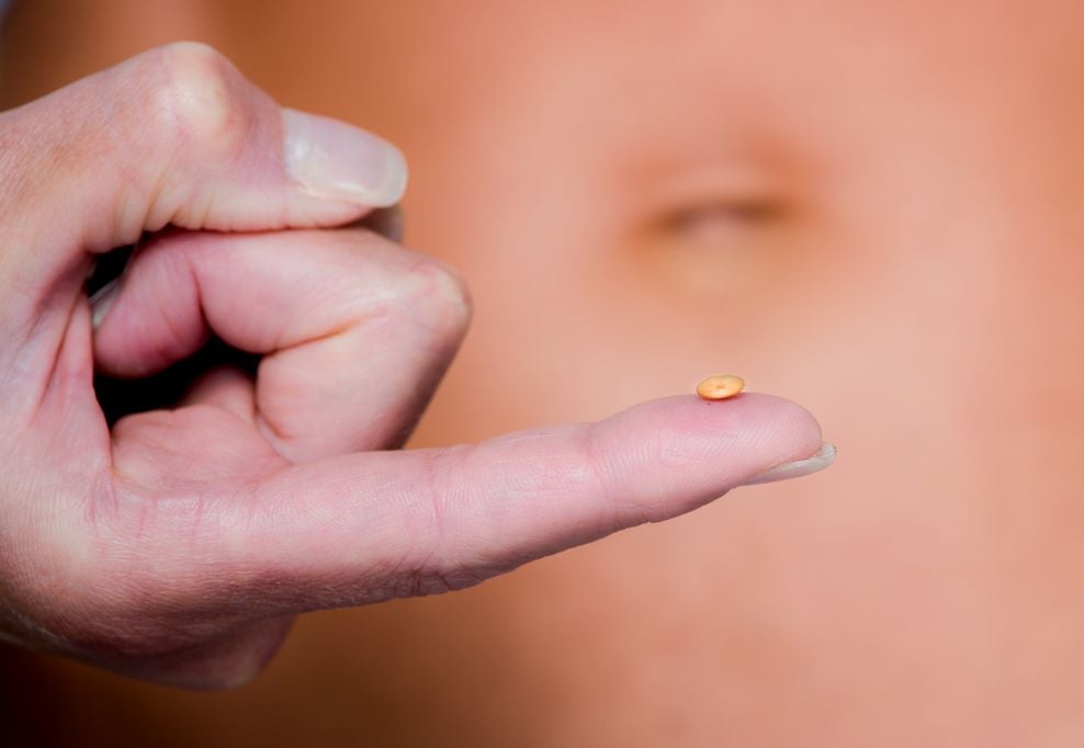 Babybauch Fruechte Linse auf Hand