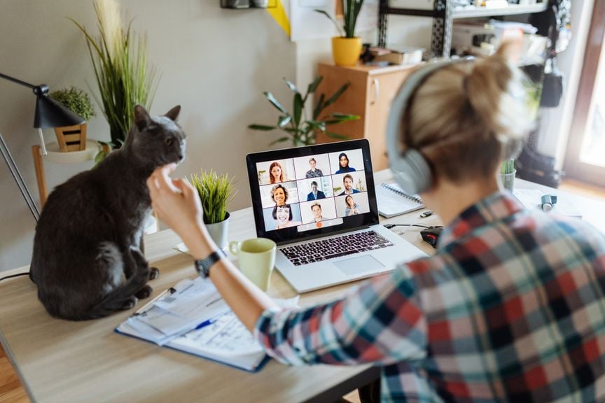 Frau mit Katze im Home Office