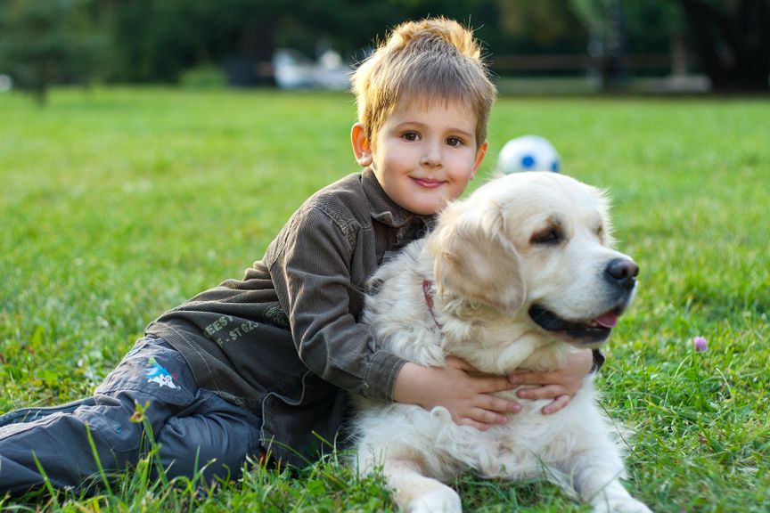 Kind mit Hund auf der Wiese 