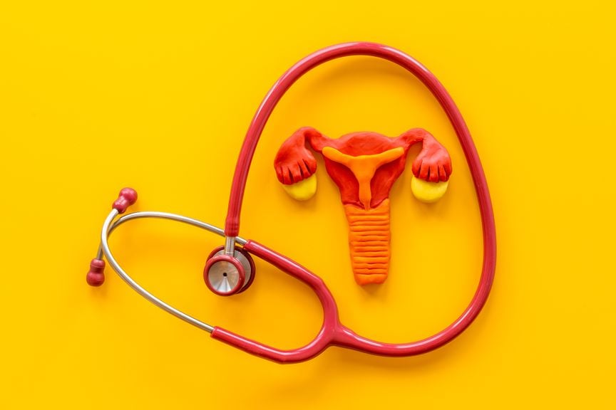 Stethoskop und Modell der Gebärmutter