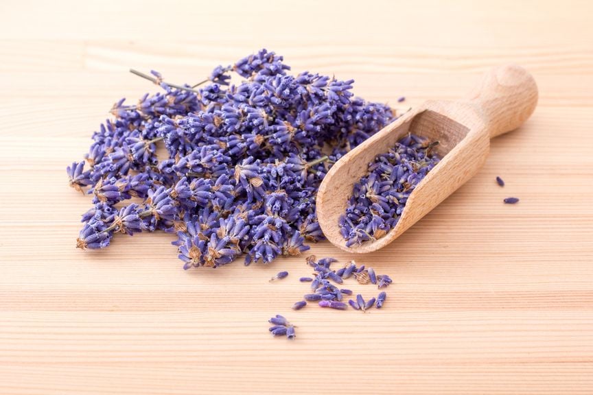 Lavendel