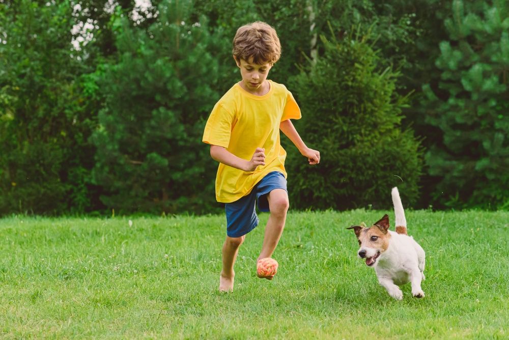 Kind und Hund spielen zusammen mit einem Ball