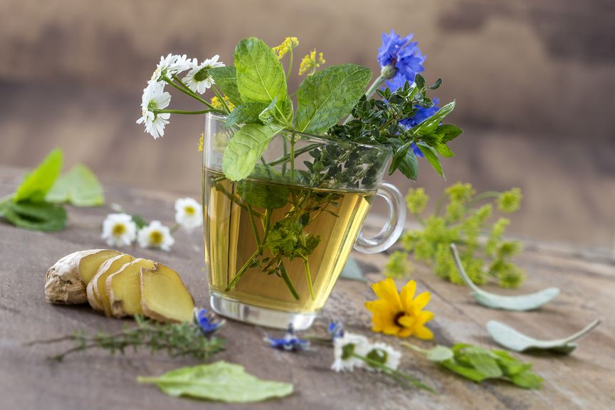 Glastasse mit Tee und Kräutern