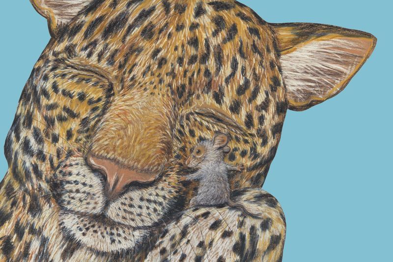 Rigo & Rosa – Freunde fürs Leben