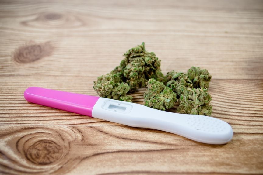 Schwangerschaftstest und Cannabis auf einer Holzunterlage