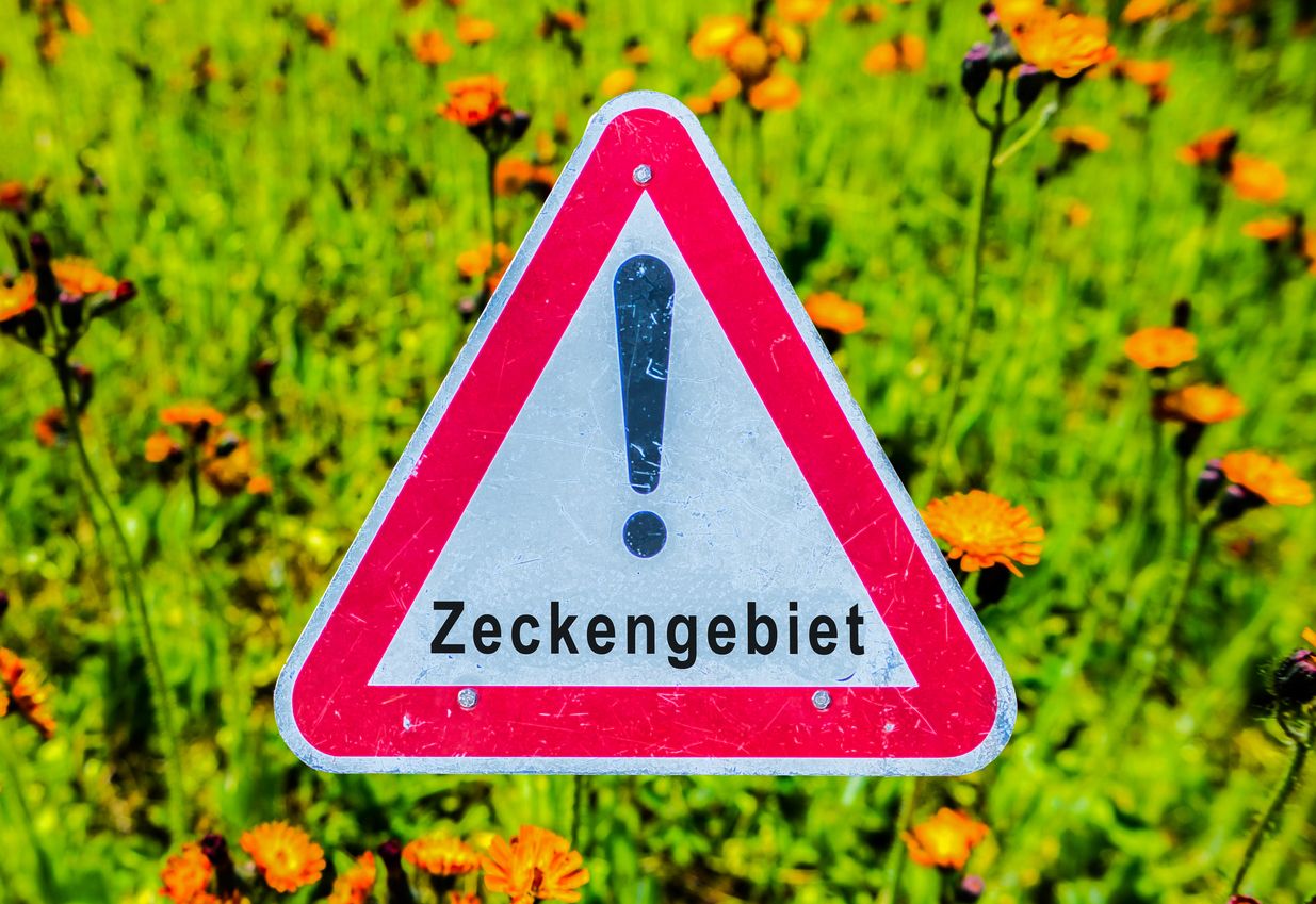 Zeckengebiet