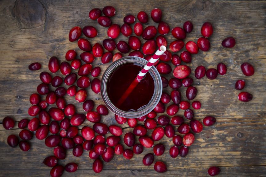 Frische Cranberries und Glas mit Cranberrysaft