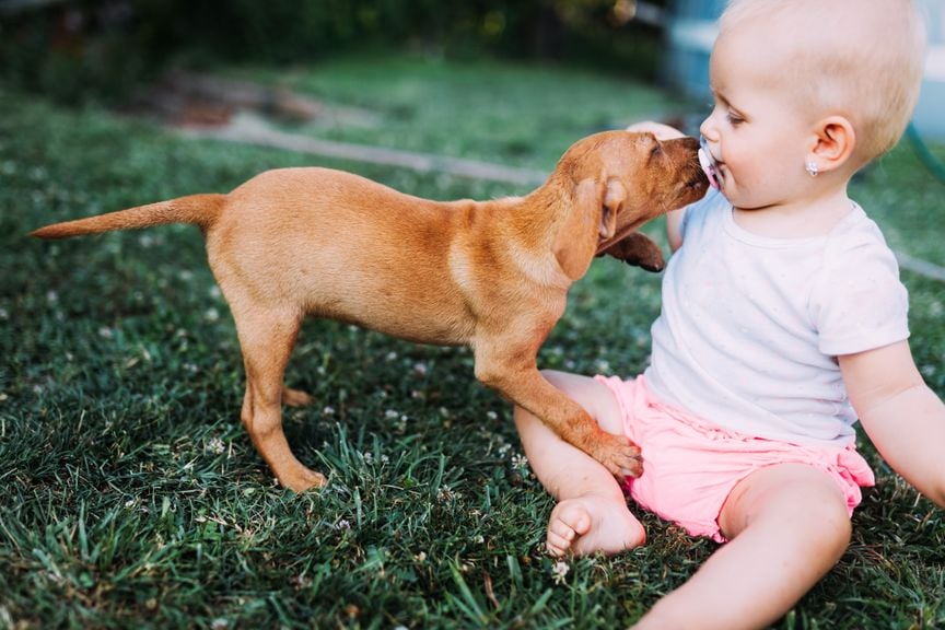 Hund und Baby