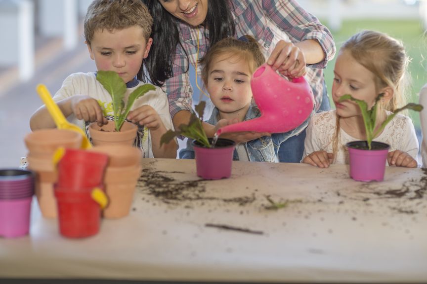 Kinder pflanzen Salat in Töpfen