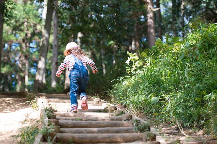 Kind im Wald läuft Treppe hinauf