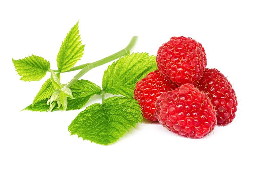 Himbeerblaetter und Himbeeren