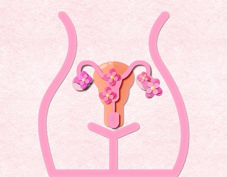 Weibliche Hormone