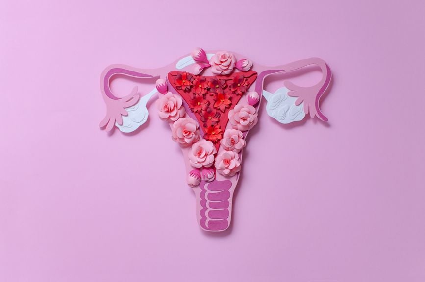 Blumige Darstellung des Uterus 