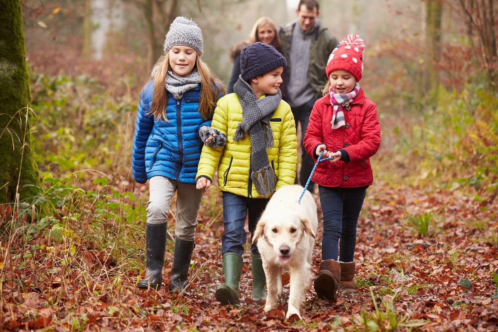 Familie im Herbstwald