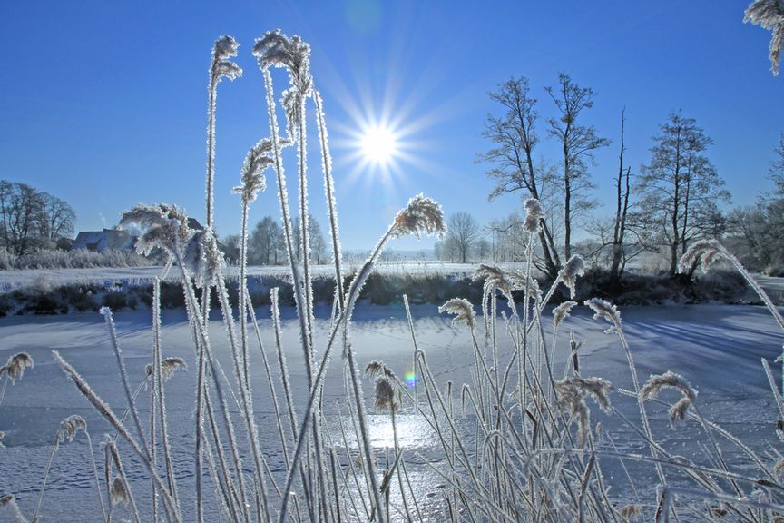 Verschneite Landschaft an einem sonnigen Wintertag