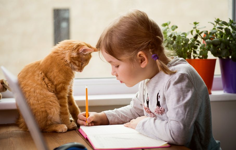 Katze schaut Kind beim Erledigen der Hausaufgaben zu