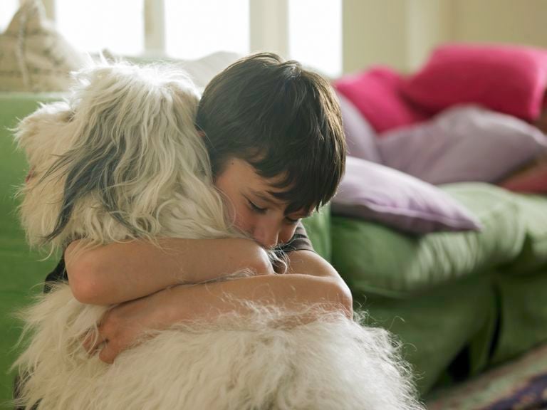 Kind umarmt den Hund