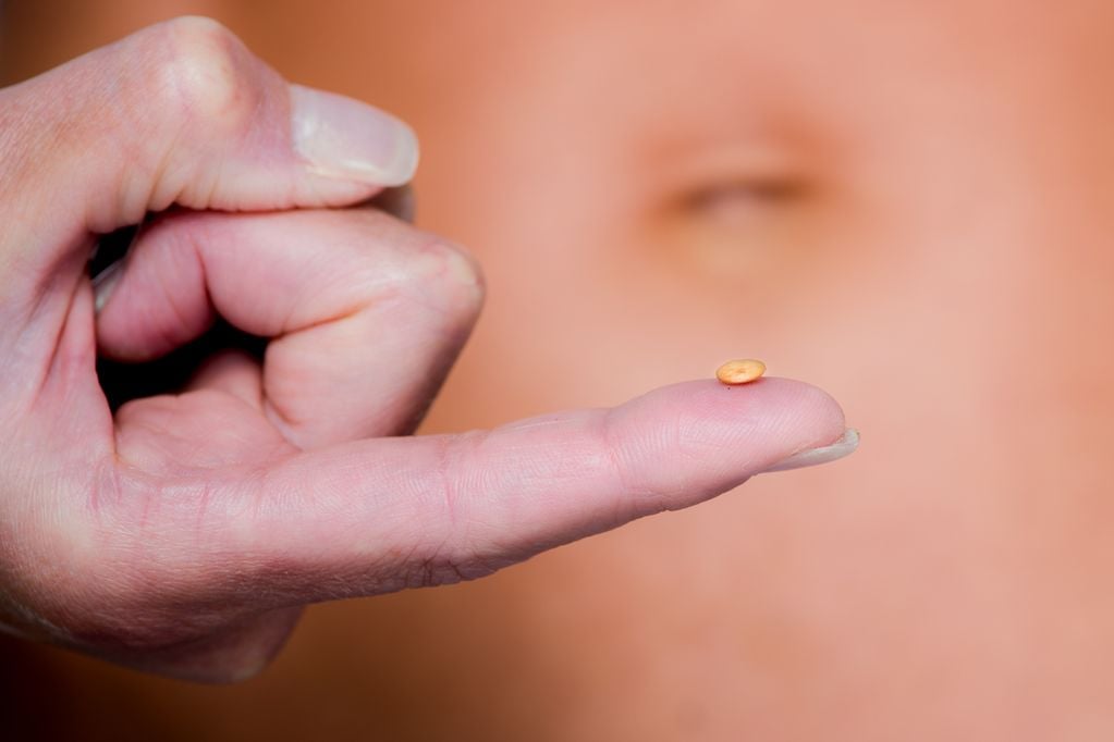 Babybauch Fruechte Linse auf Hand