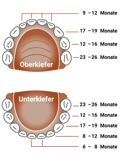 Durchbruch Milchzähne