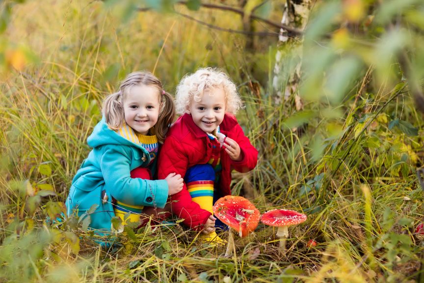 Kinder mit Fliegenpilzen 