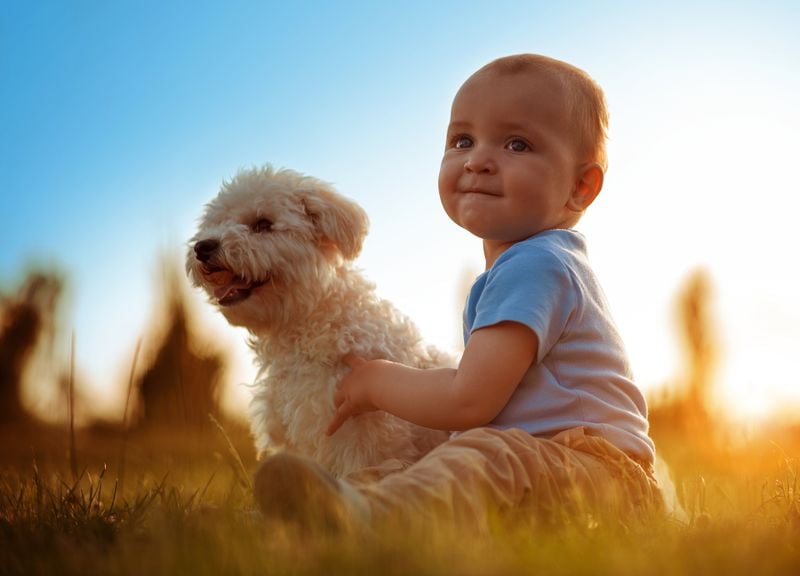Kind mit Hund sitzt auf der Wiese