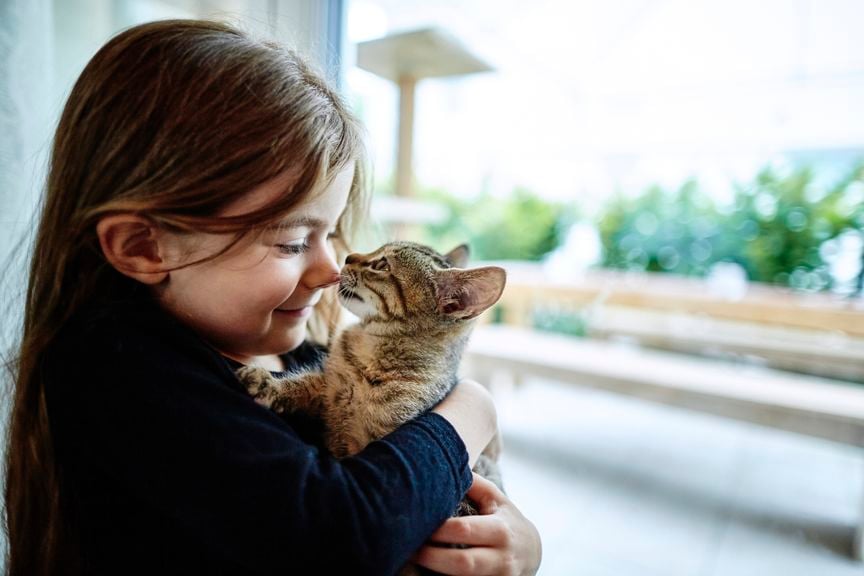 Mädchen mit Katze